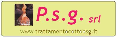 logo P.S.G. srl lucidatura levigatura cotto